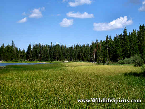 Click Picture to send as an  E-PostCard 66k 550x412